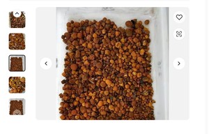 Cálculos biliares secos de buey de vaca disponibles 7000 toneladas - Product Image 4