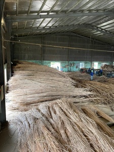 Matériel vietnamien prêt à être exporté, pelage de rotin de haute qualité, prix bon marché, Akina - Product Image 3