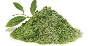 สารสกัดจากใบ purslane saponins สารสกัดจากใบ purslane - Product Image 2