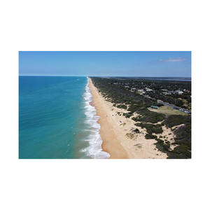 Precios competitivos para pedidos grandes Troncos largos de haya para fabricación de muebles sólidos a granel - Product Image 5