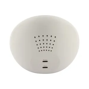 Wireless Alarm <b>Clock</b> for Desk & Table Ecological Gadgets - Product Image 6