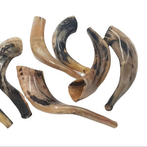 La mejor calidad Ram Horn Shofar Cuerno natural Shofar para soplar y propósito religioso Kosher Shofar Pulido Ram Sheep Horn - Product Image 1
