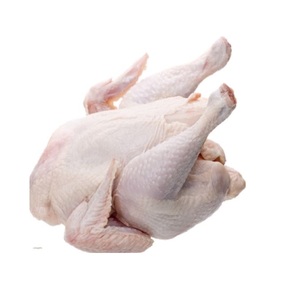 ไก่ทั้งตัวแช่แข็งแบบพรีเมี่ยม - Product Image 4