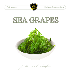 Algas marinas de uva deshidratadas/uvas de mar en bolsa, listas para exportar desde Vietnam - Product Image 2