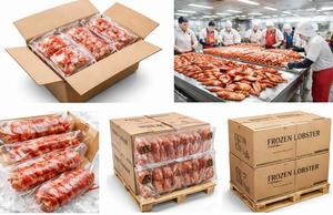 Langosta Congelada de Primera Calidad para Restaurantes e Importadores - Product Image 6