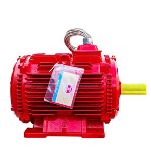 Moteur asynchrone à haute efficacité IP55 IP56 Service OEM moteur électrique à courant alternatif triphasé boîtier en fonte enroulement de noyau de cuivre - Product Image 4