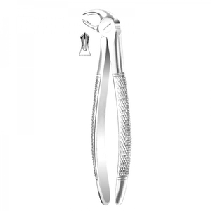 ENGLISH PATTERN FORCEPS - Product Image 3