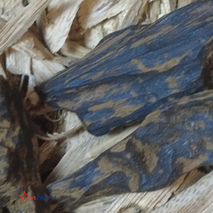 เครื่องพ่นธูปไม้กอบกลิ่นไม้ชั้นเยี่ยมใช้ในงานทางศาสนาที่มีคุณภาพสูงเครื่องพ่นน้ำมันหอมระเหยจากเวียดนาม - Product Image 1