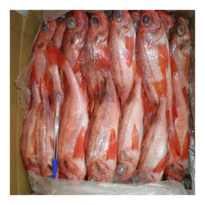 Mullet rojo del Mar Negro congelado, suministro a granel, venta al por mayor, calidad premium de mariscos - Product Image 5