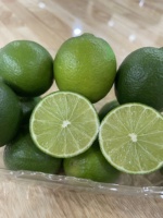 Verse Zaadloze Citroen VIOT Merk Vietnam Hoge Kwaliteit Sappig Groen Rijp 12 Maanden Houdbaarheid 6cm 0,1kg Export Groothandelsmarkt