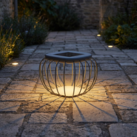 Lampe solaire LED durable, résistante aux chocs, IP65, pour parc, allée, ornement de jardin