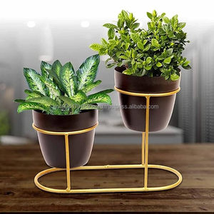 Venta caliente de metal de 2 niveles estilo maceta negra con maceta de soporte dorado - Product Image 5