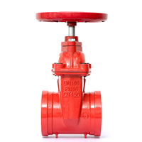 Válvula de Compuerta Ranurada de Vástago Fijo para Alta Temperatura DN50-DN300, Aprobada para Agua, Venta Caliente, Cuerpo de Hierro Dúctil Manual Personalizado