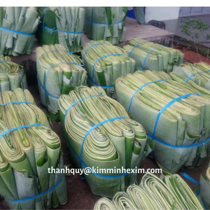 FEUILLE DE BANANE FRAIS/CONGELÉES/FEUILLES DE BANANE DU Vietnam TAILLE 22 CM UP - Product Image 2