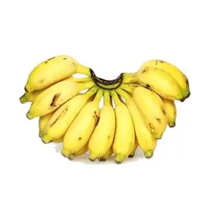 Fresh Cavendish Banana High Quality and Cheap price for sale.