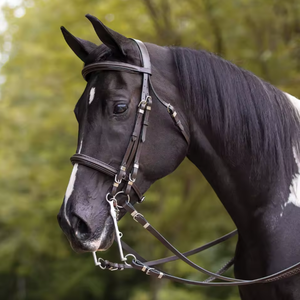 Logotipo personalizado Durable Western Leather Horse Shoes Equitación Acolchado Snaffle Dressage Racing Deportes al aire libre - Product Image 4