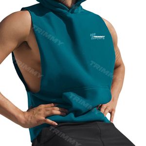 Unisex verano invierno gimnasio chaleco 100% algodón Streetwear Sudadera con capucha cremallera Logo estilo deportivo personalizado sin mangas sudaderas con capucha hombres mujeres gran oferta - Product Image 2