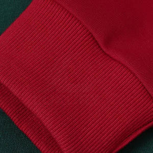 Streetwear de haute qualité sweats à capuche pour hommes vêtements d'hiver sweats à capuche pour hommes sweat à capuche en polyester et coton sur mesure - Product Image 4