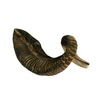 Fabriqué à la main casher Ram Shofar corne musicale Anti odeur Spray décoratif fonctionnel cadeau juif femmes hommes fabriqué à la main à moitié poli