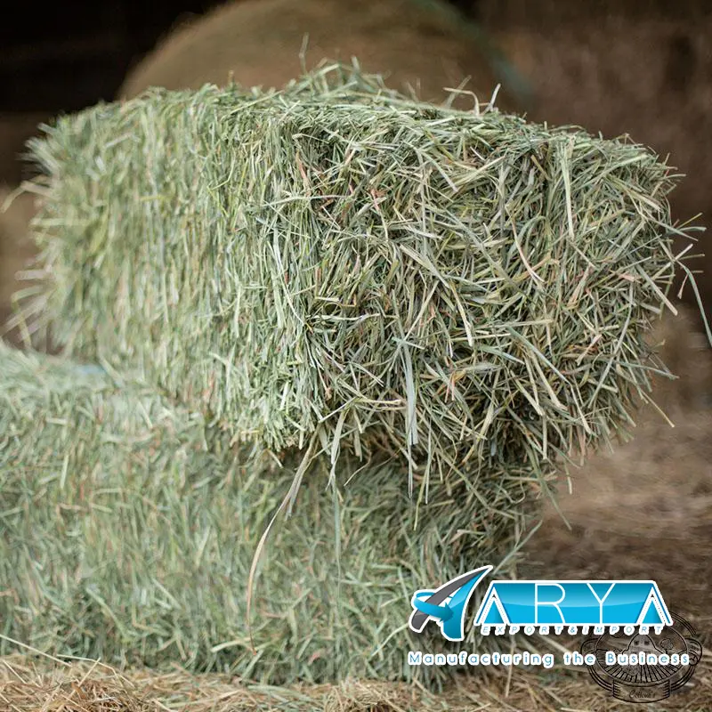 Rhodes трава сено пшеничное Сено для продажи высококачественная трава Сено для продажи сорт качественная трава распродажа