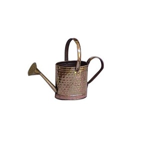 Grande Vente : Arrosoir en Métal – Exportateur et Fournisseur – Arrosoir Galvanisé au Design Personnalisé – Fabricant Indien - Product Image 1