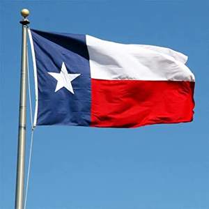 Lot de 12 drapeaux du Texas 3x5 pieds pour extérieur, drapeau de l'État du Texas fabriqué aux États-Unis pour usage extérieur intensif, drapeaux en polyester de l'État du Texas TX - Product Image 1