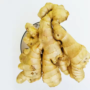 GINGEMBRE FRAIS AU GINGEMBRE 100% NATUREL DU marché Offre Spéciale racine Légumes frais prix pas cher - Product Image 3
