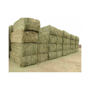 Foin d'alfalfa abordable disponible en grande quantité pour l'alimentation des bovins et des chevaux - Product Image 6