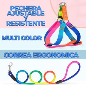 Set Guinzaglio e Pettorina per Cani di Taglia Grande, Design Semplice, Comodo e Traspirante in Nylon, Corduroy e Neoprene, per Gatti, Fantasia Tinta Unita - Product Image 6