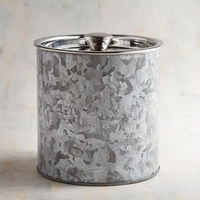 Seau à glace en métal galvanisé de 3 litres, refroidisseur de boissons, bac de service pour bar, idéal pour les fêtes, la maison et les événements