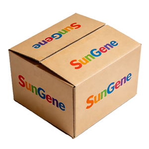 Cajas de Envío Corrugadas con Papel Reciclado y Logotipo Personalizado en Relieve para Exportación - Product Image 3