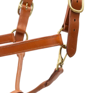 Harnais souple et résistant pour chevaux, design en nylon réglable, boucles confortables pour l'entraînement et le contrôle en équitation. - Product Image 4