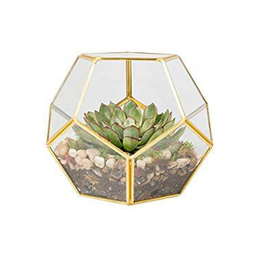 Terrario de cristal artístico moderno hecho a mano Simple y elegante superventas, Terrario de cristal geométrico Artificial suculento acabado en oro, precios baratos - Product Image 2