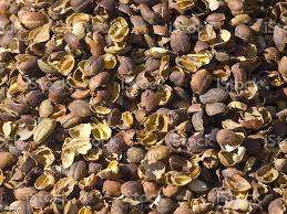 เปลือกกาแฟอบแห้งขายดี อุดมไปด้วยสารอาหารจากธรรมชาติ ออร์แกนิค คุณภาพสูง ราคาคุ้มค่า - Product Image 6