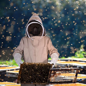 Chaqueta de traje de apicultura profesional Ropa práctica de apicultura con sombrero Traje de equipo Trajes de apicultura al precio más barato - Product Image 5