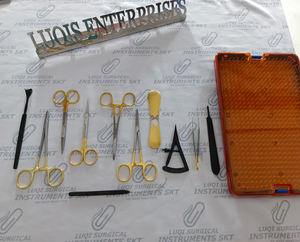 Juego de Instrumentos para Blefaroplastia de 11 Piezas de Acero Inoxidable con Bandeja de Esterilización de Plástico y Tapete de Silicona, Certificado CE - Product Image 2