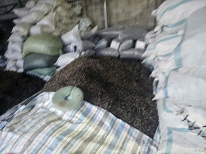 Champignons noirs séchés de haute qualité, champignons nucares, emballage en vrac pour l'exportation - Product Image 5