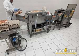 Máquina Rompedora de Huevos OVO-TECH RX-1 para Uso en Panadería, Separación Automática de Cáscaras de Huevo, Capacidad de 3000-6500 Huevos/Hora - Product Image 6