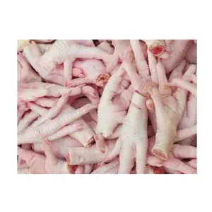 Bulk Stock Available Of Halal Frozen Chicken Feet | Frozen Chicken Meat At Wholesale Prices