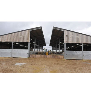 Ferme d'élevage de vaches à construction rapide/étable à vaches en acier pour hangar laitier - Product Image 5