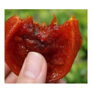 Fruit de kaki séché sucré de haute qualité goût doux kaki séché vietnamien à prix compétitif 2024 - Product Image 5