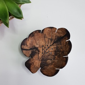 Porte-savon fait à la main en forme de coquille de noix de coco pour enfants, support durable pour la décoration de la salle de bain - Product Image 5