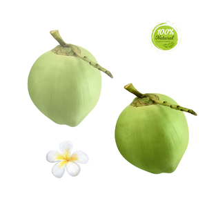 Jeune coquille de noix de coco Comment créer des alternatives laitières à base de plantes fraîchement - Product Image 4