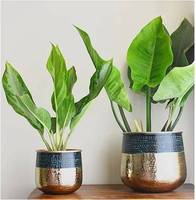 Pot de fleurs moderne en fer chromé pour intérieur et extérieur, présentoir de sol ou de table, qualité supérieure, pour jardin, maison, hôtel