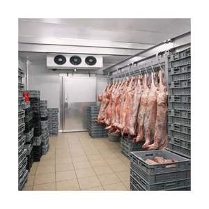 Équipement de stockage frigorifique industriel pour la viande, contrôle de la température (+4C -18C), garantie de 2 ans pour le refroidissement à court terme - Product Image 2