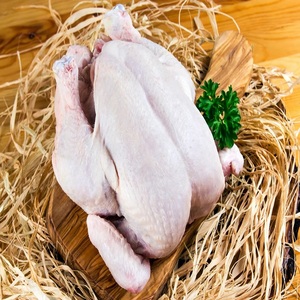 Piezas de pollo Halal congelado, venta al por mayor, entrega rápida, compra de calidad premium, Ideal para restaurantes, hoteles y catering - Product Image 3