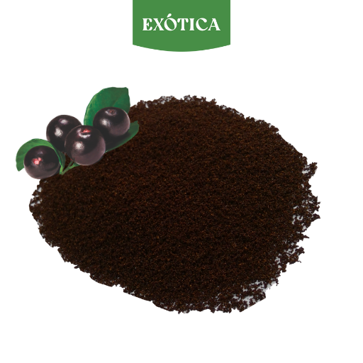 Acai Berry Powder all'ingrosso Bulk Vegan 100% miglior fornitore fibra ricca Pure Acai Berry