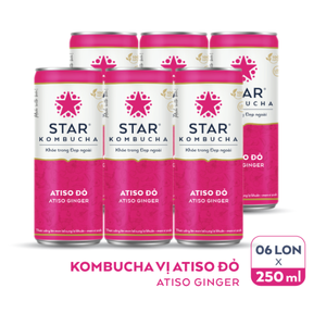 Produit en gros de qualité supérieure de carbonate de gingembre Atiso Kombucha - Product Image 3