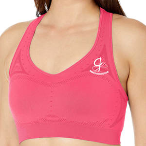 Sujetador deportivo con estilo para mujer 2024, proveedor superventas, recién llegado, Sujetador deportivo personalizado de talla grande para Fitness - Product Image 1