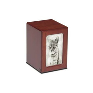 Venta caliente Diseño de acabado Urnas de cremación para mascotas Ataúd de mascotas de Interior de madera natural ataúd para mascotas con alta calidad - Product Image 5